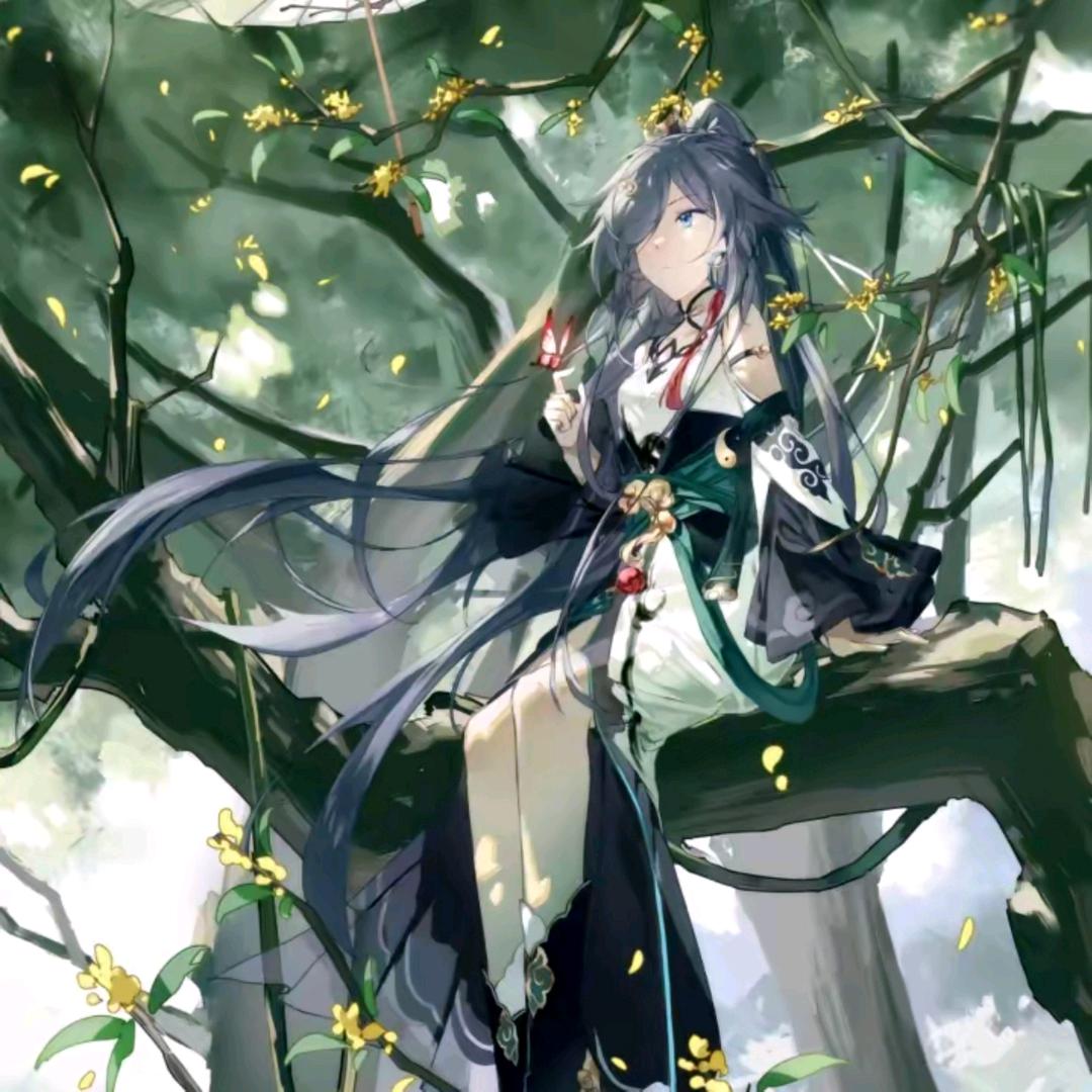鸢