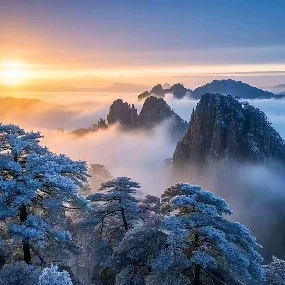 峻安