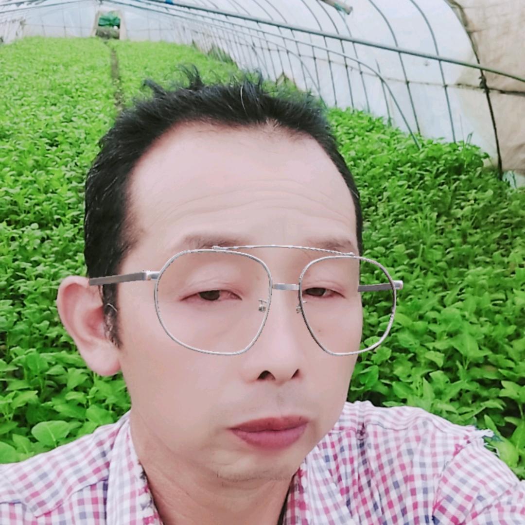 为了明天努力