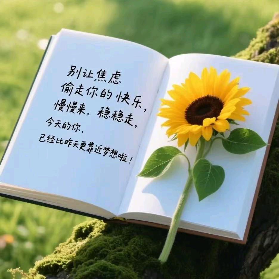 喜气杨杨