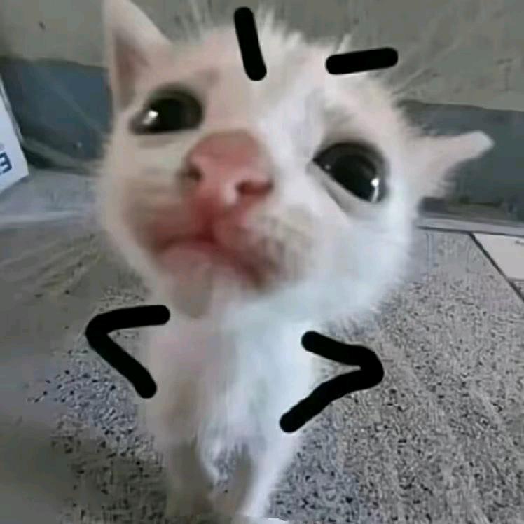 ❤❤❤❤❤❤❤❤❤❤❤❤❤❤❤❤❤❤❤❤