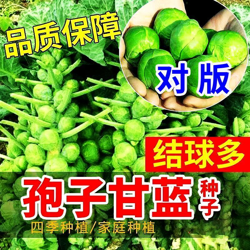 平顶山燕子生鲜