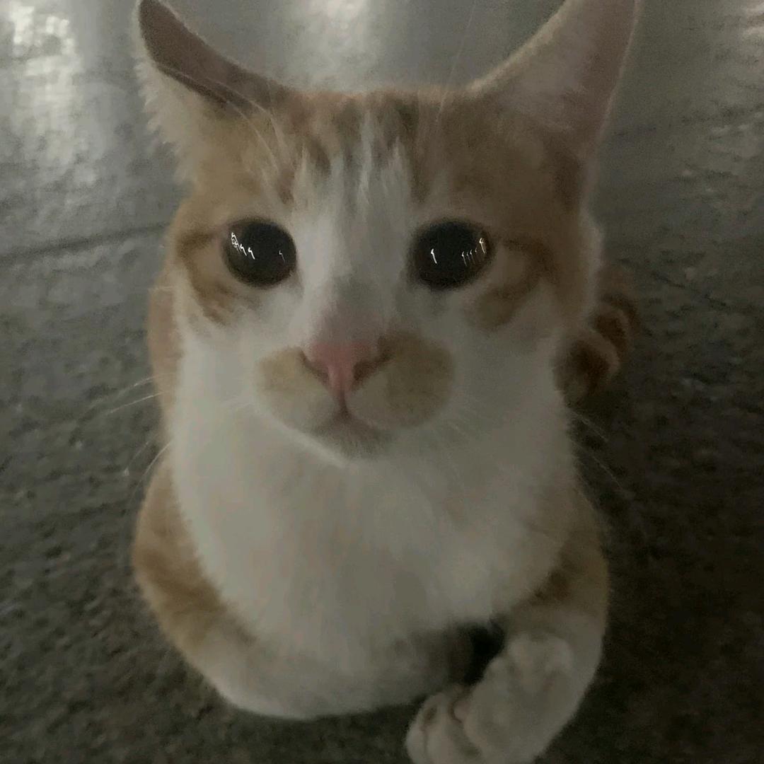 又困了吗