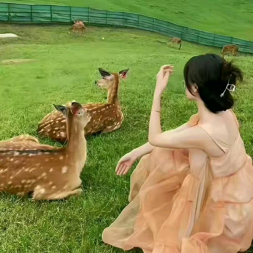 暖阳~