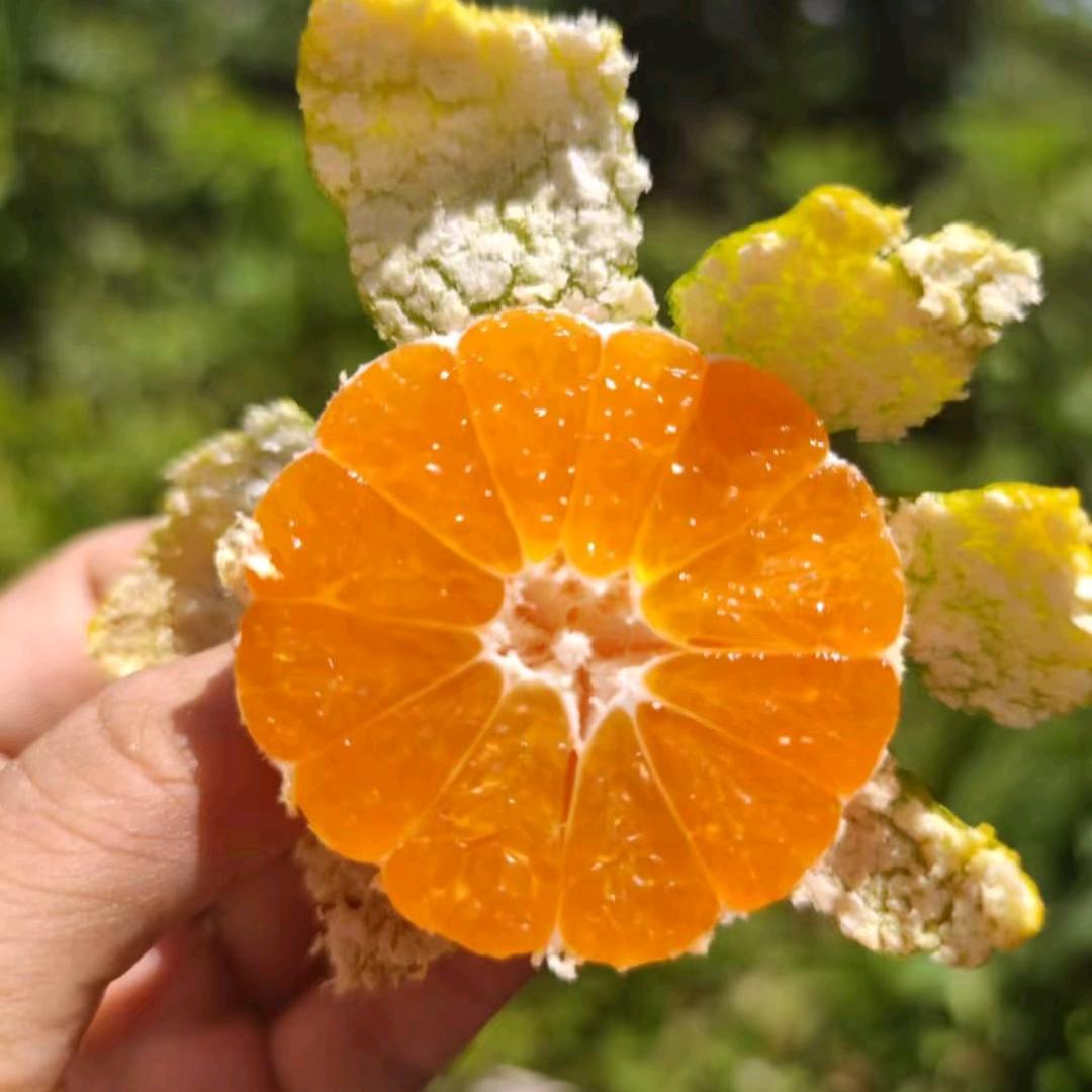 小金生鲜甄选