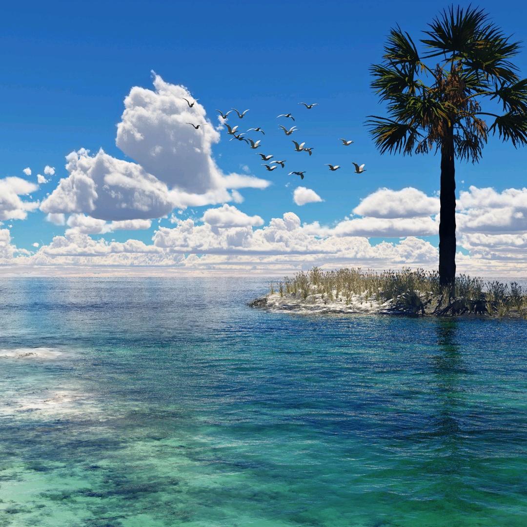 大海