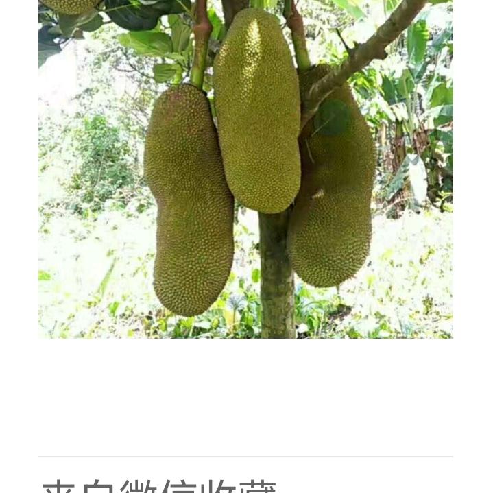 天地人和