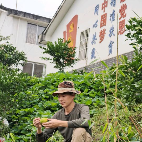 小兵哥源果优选