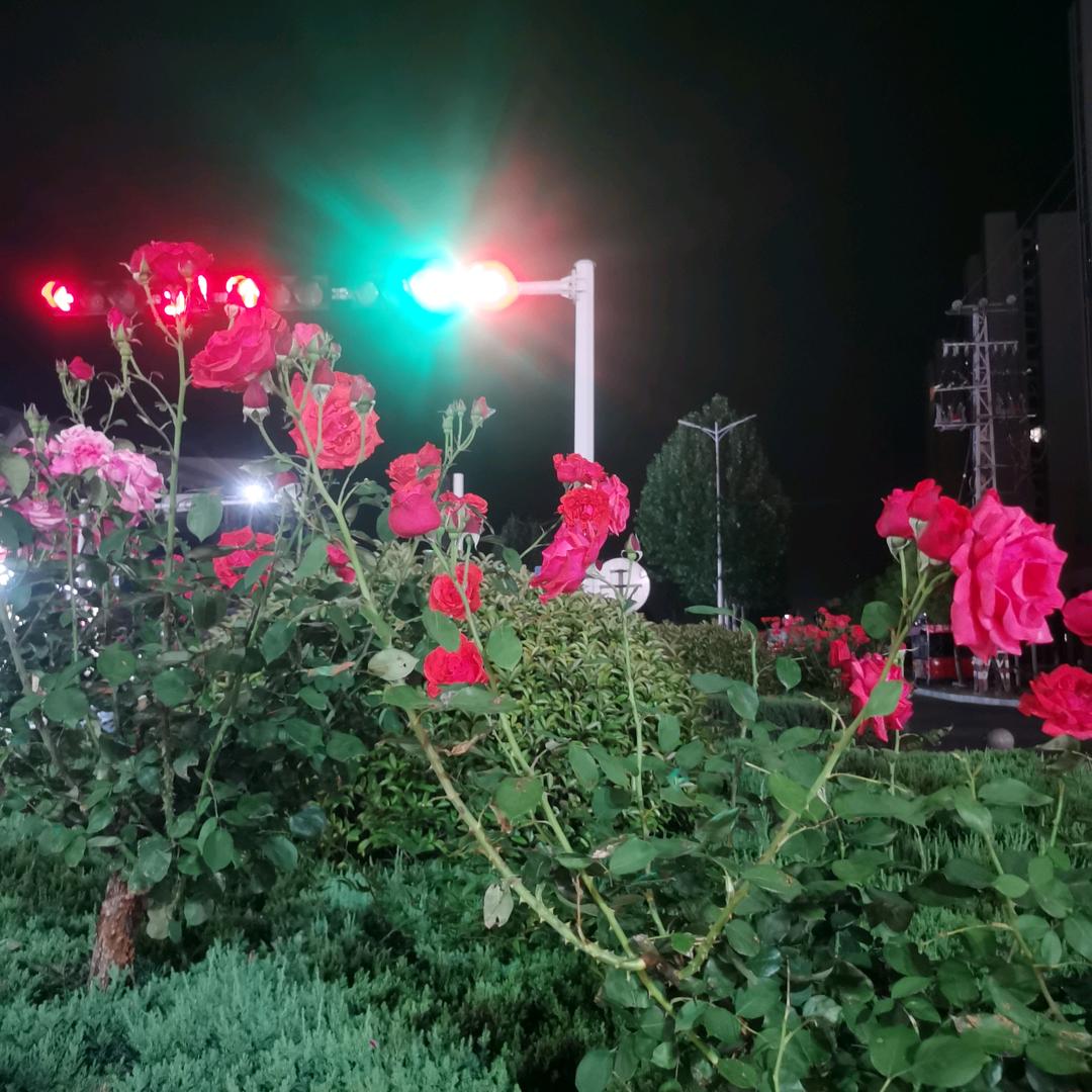 慧眼识珠（）