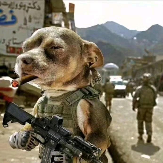 单行线