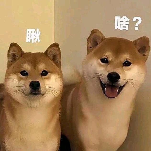 小可爱
