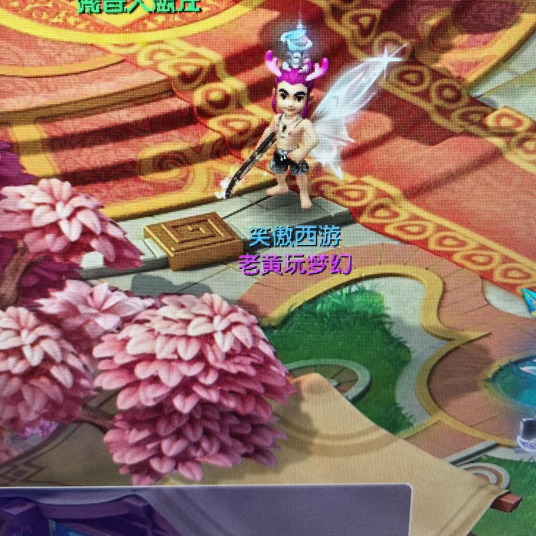 黄小刀