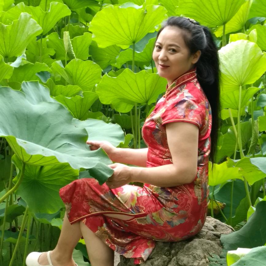 凤儿单飞🐯