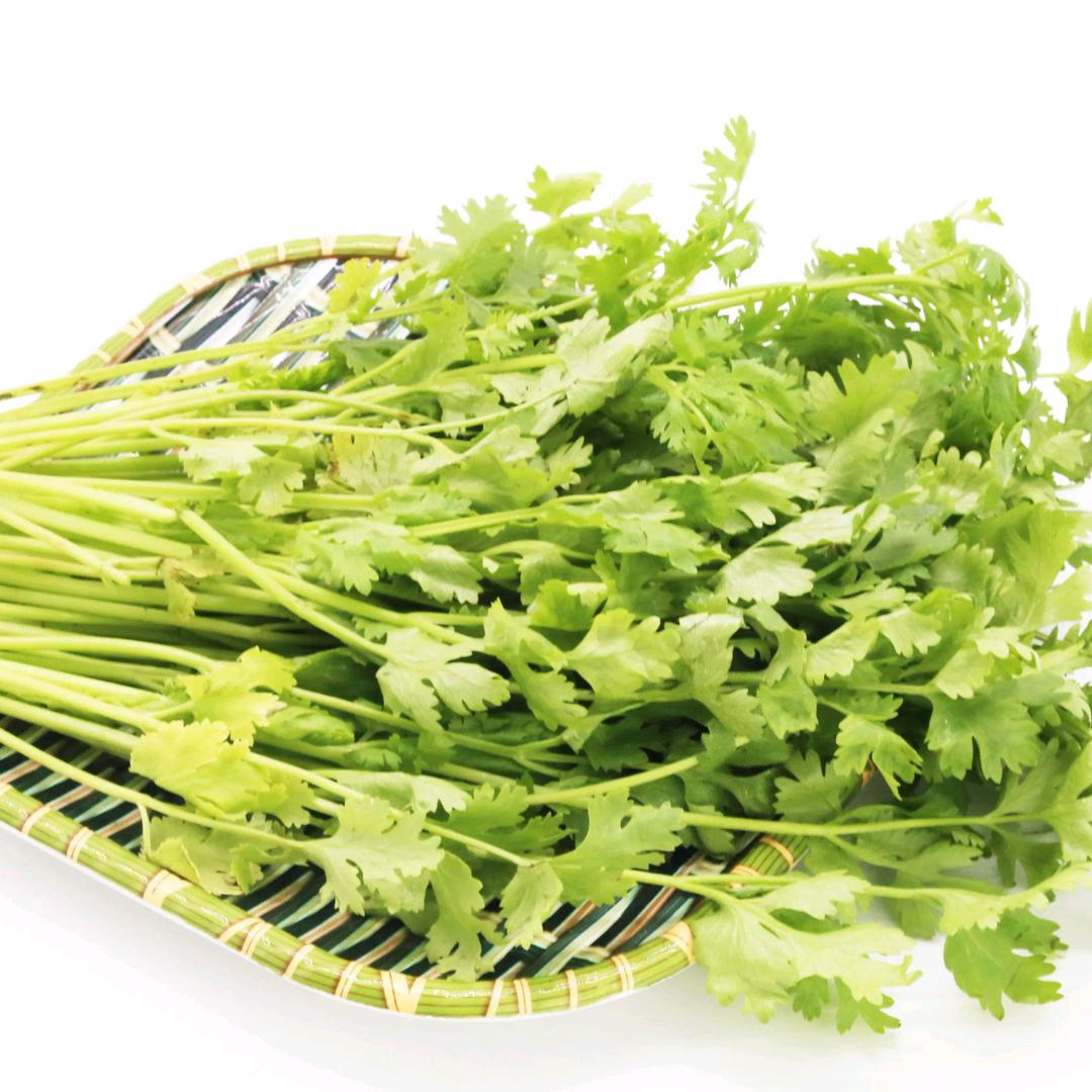 香菜