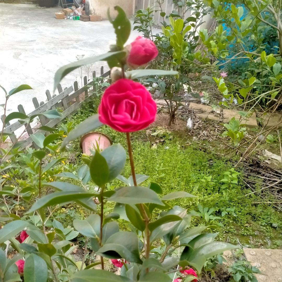 优优岁月