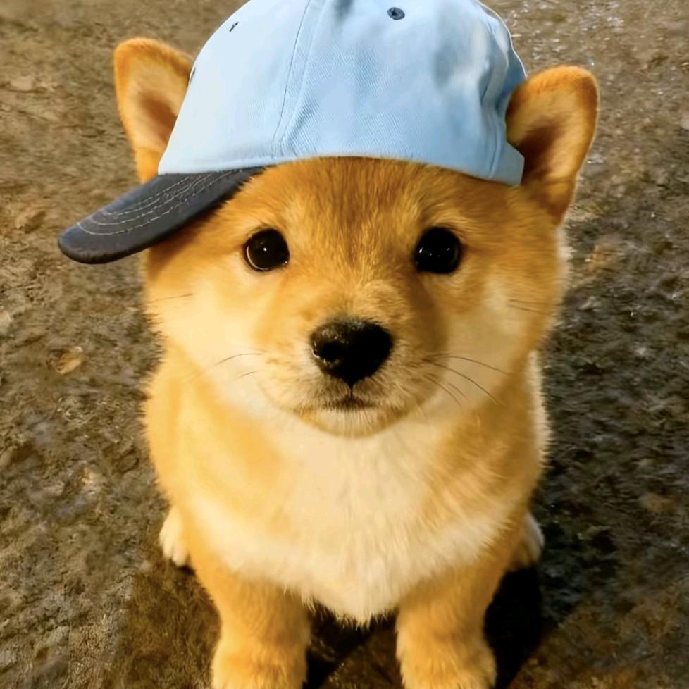 如初