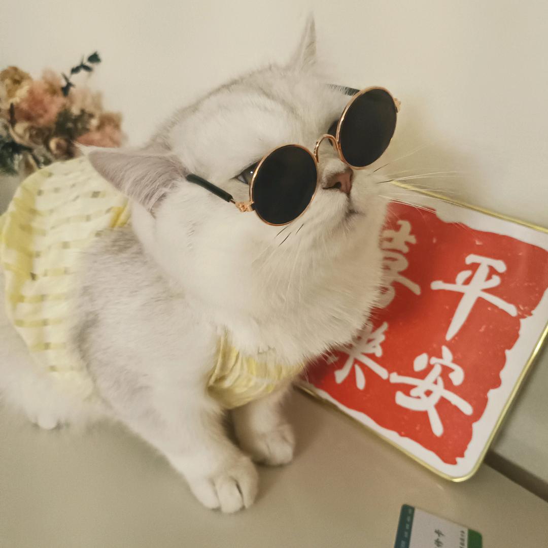 是😉可可呀