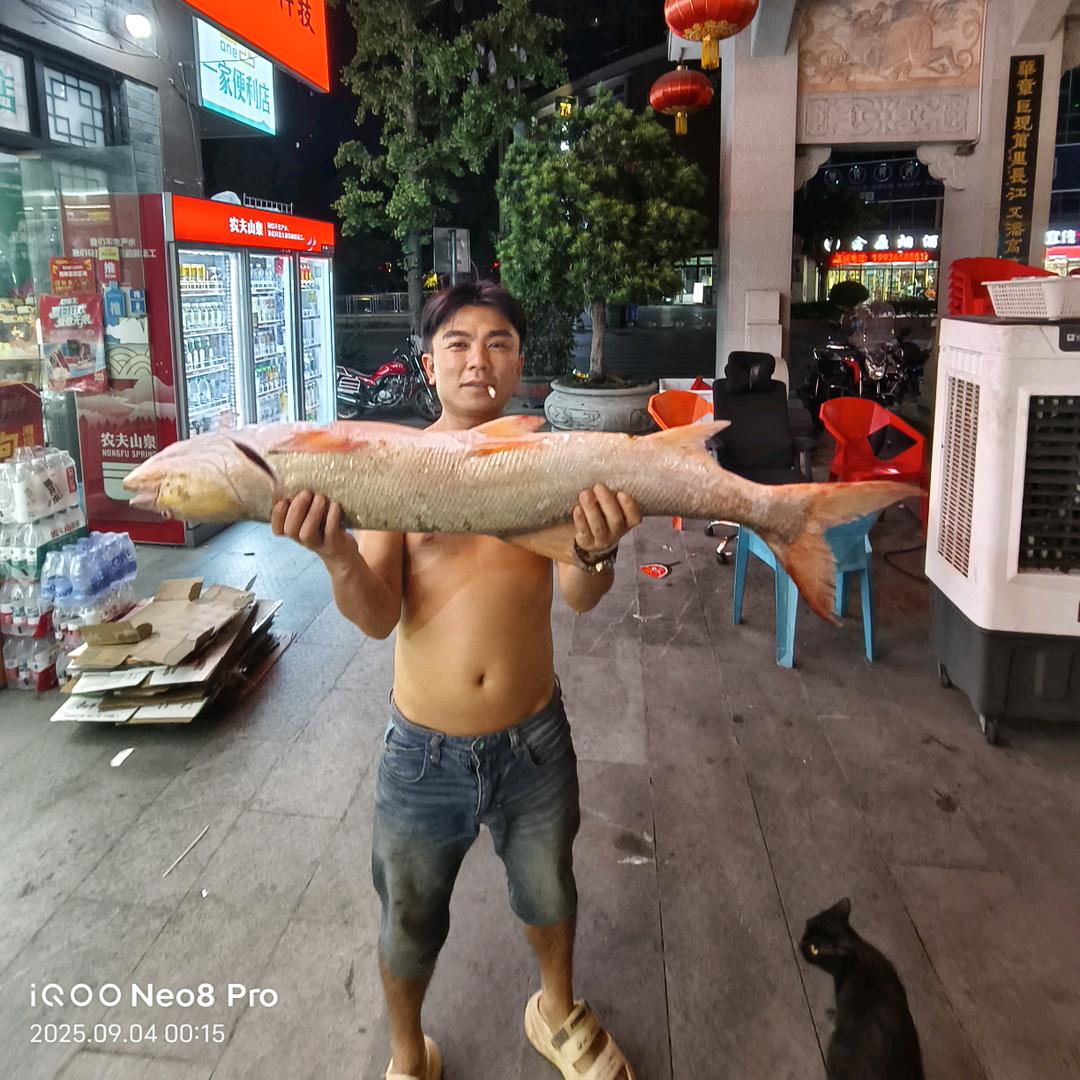又菜又爱钓