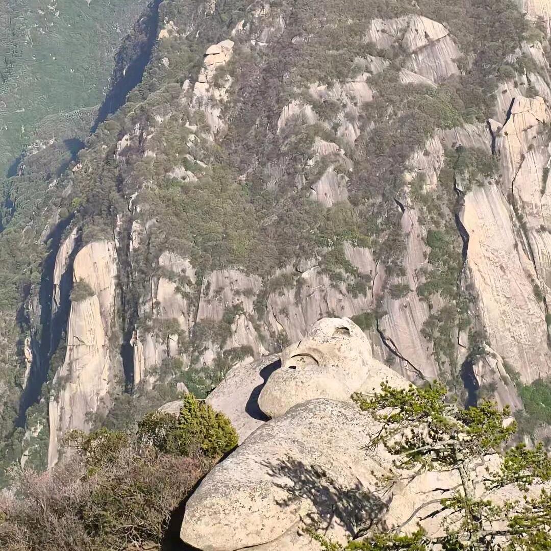 瑟篱