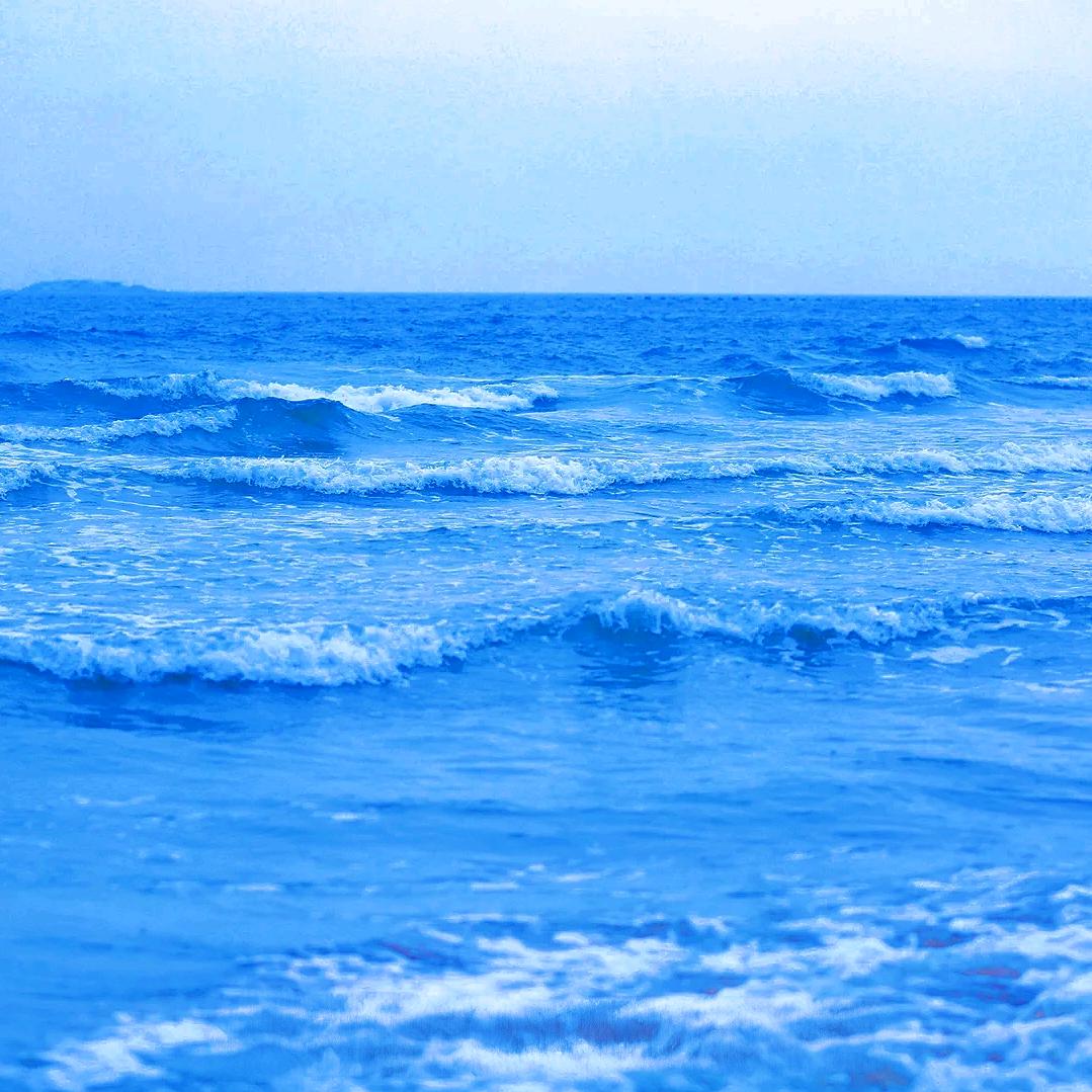 东北敏儿在杭州