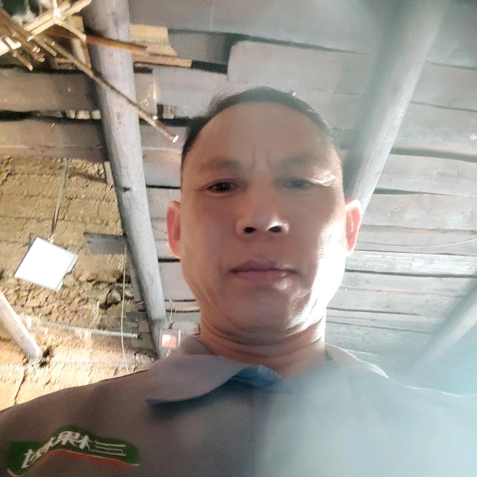 伟哥