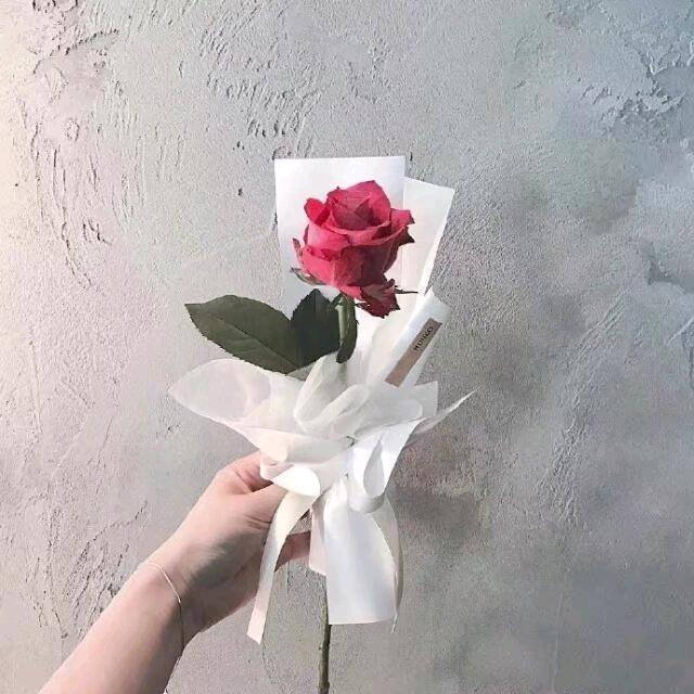 张强哥爱