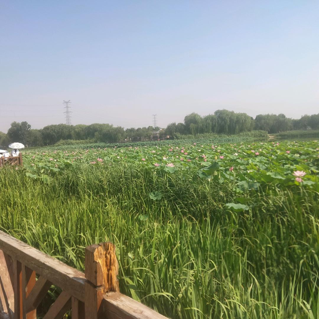 花好月圆