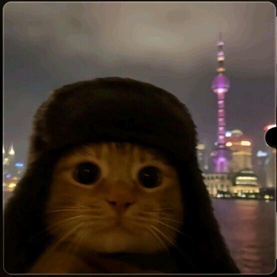 桓