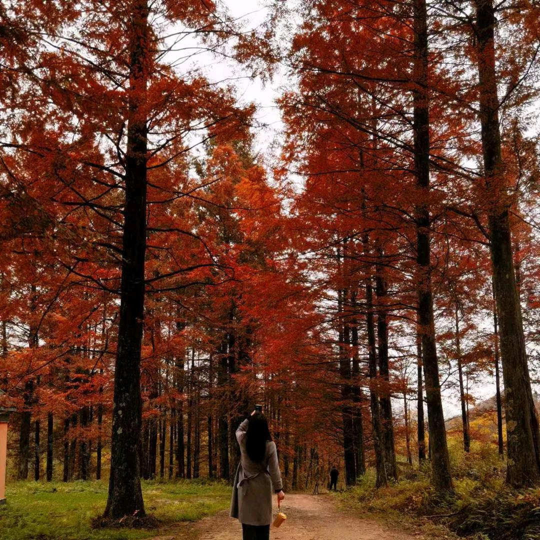 幺妹儿～幺妹儿