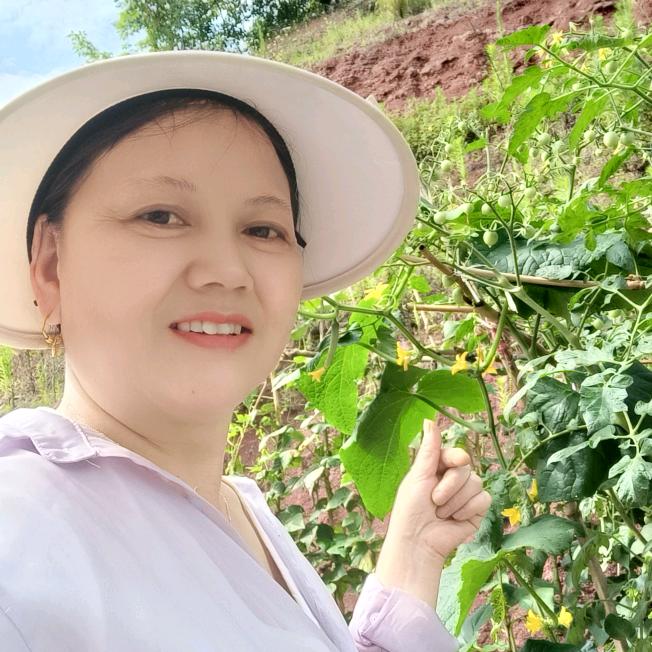 范姐