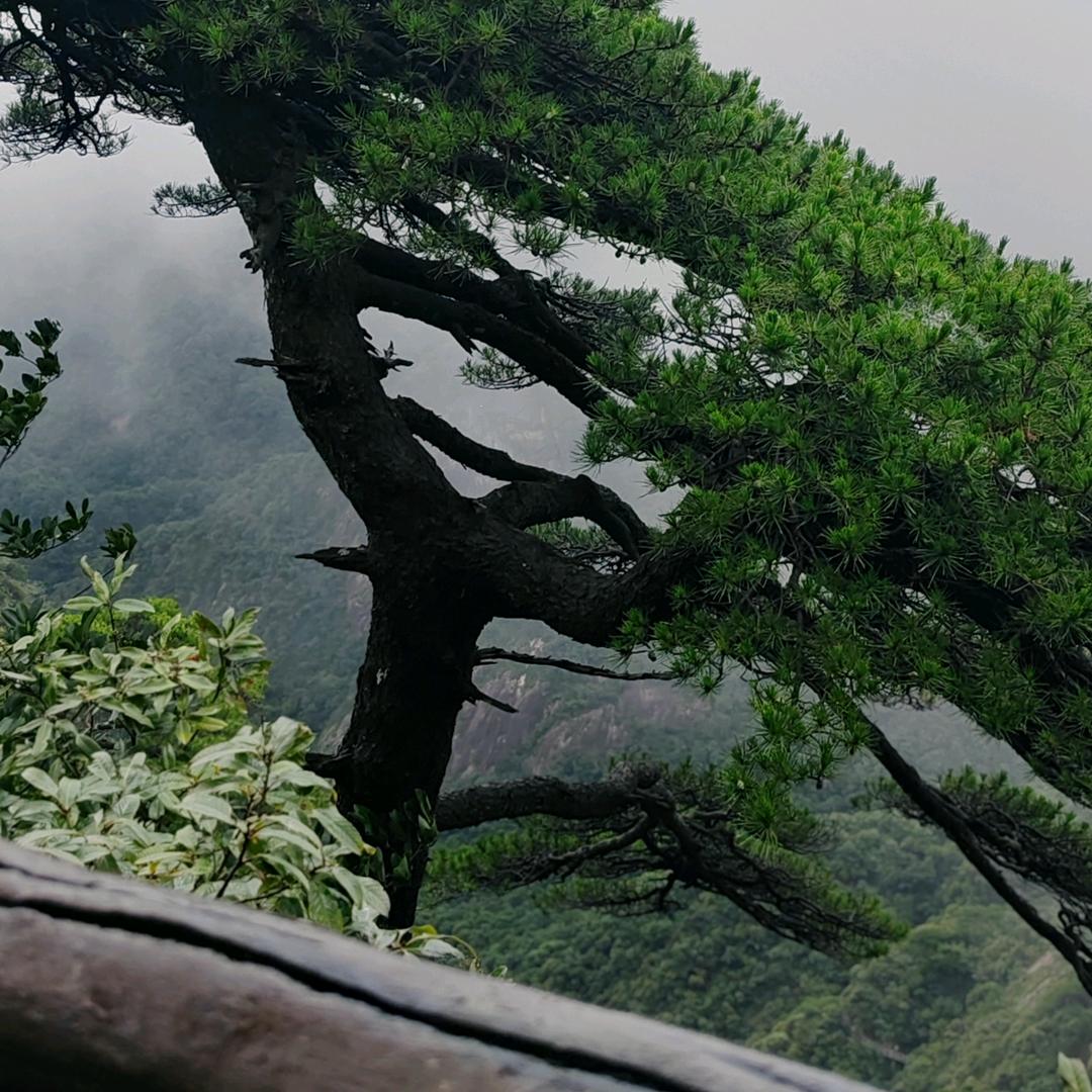 广源服装加工，阿发