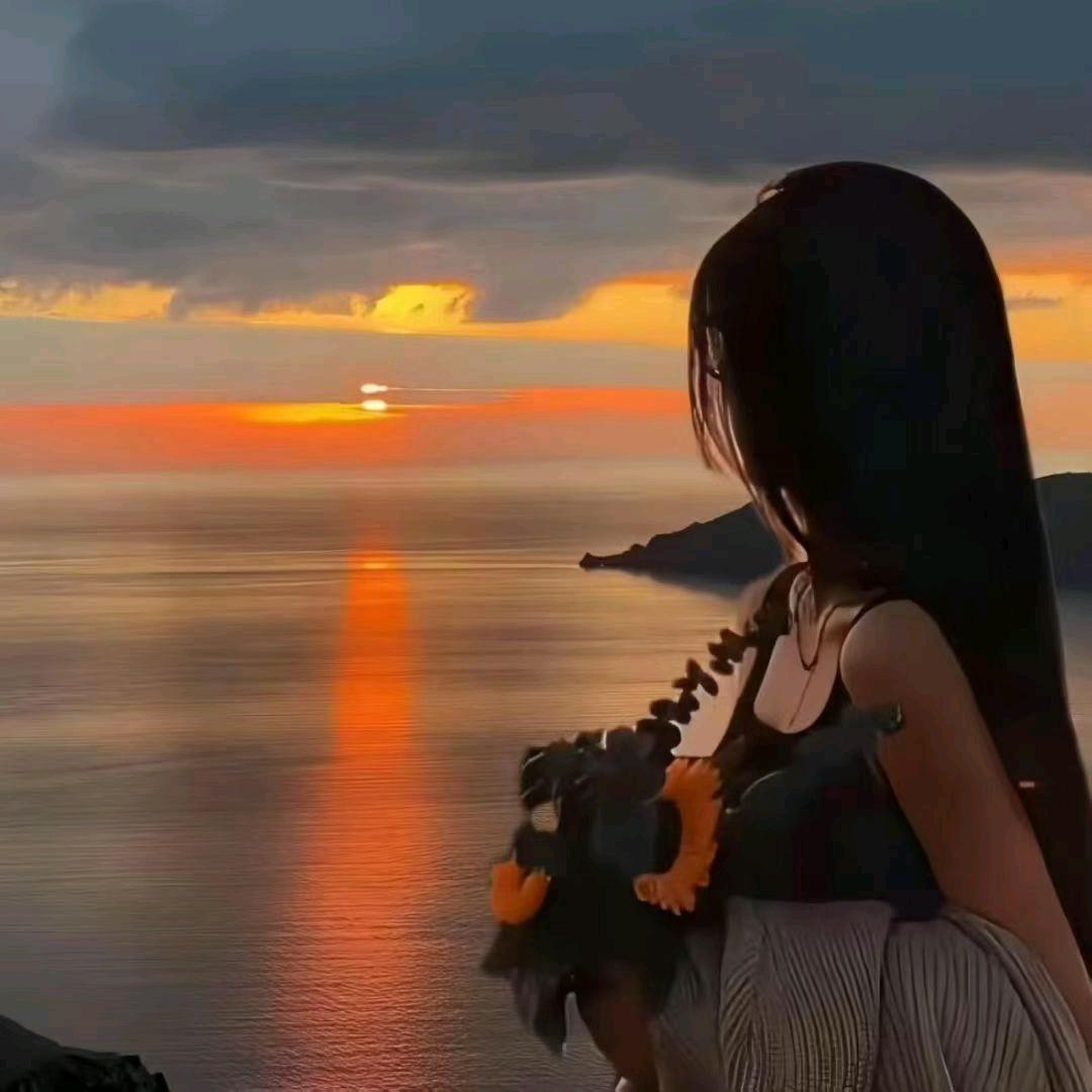 呆橘