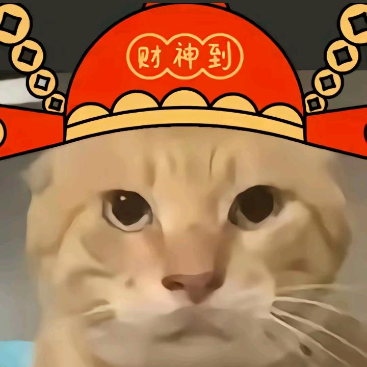 跑刀小鼠（接单中）