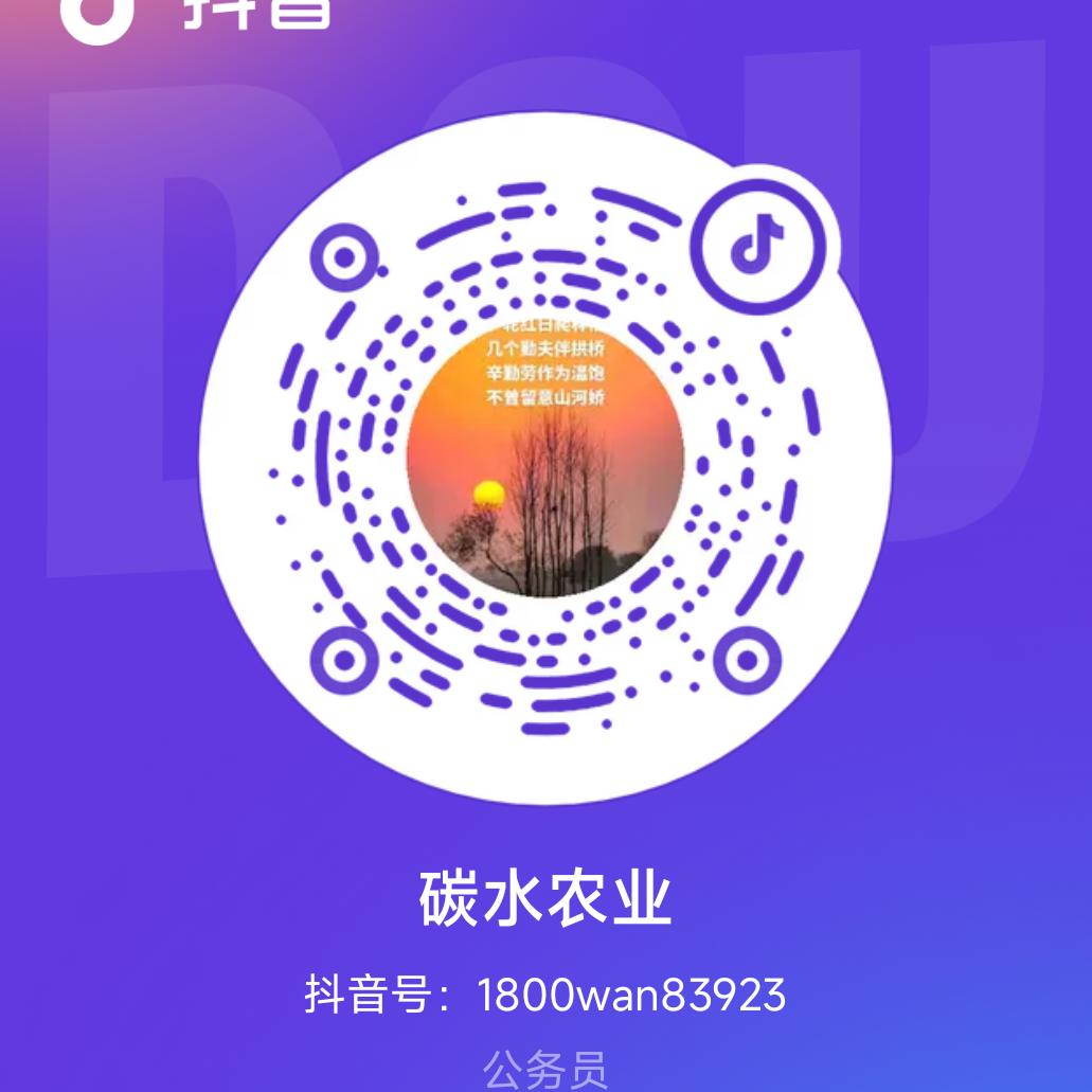 平原张大伟