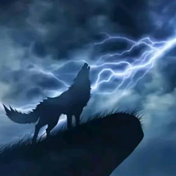 ✨💕ꦿ᭄   狼族♡    ✨༉