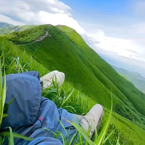 大洋子电商工作室