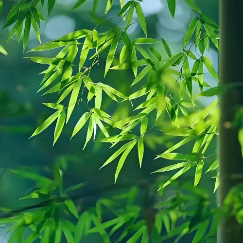 甜甜好物推荐 1