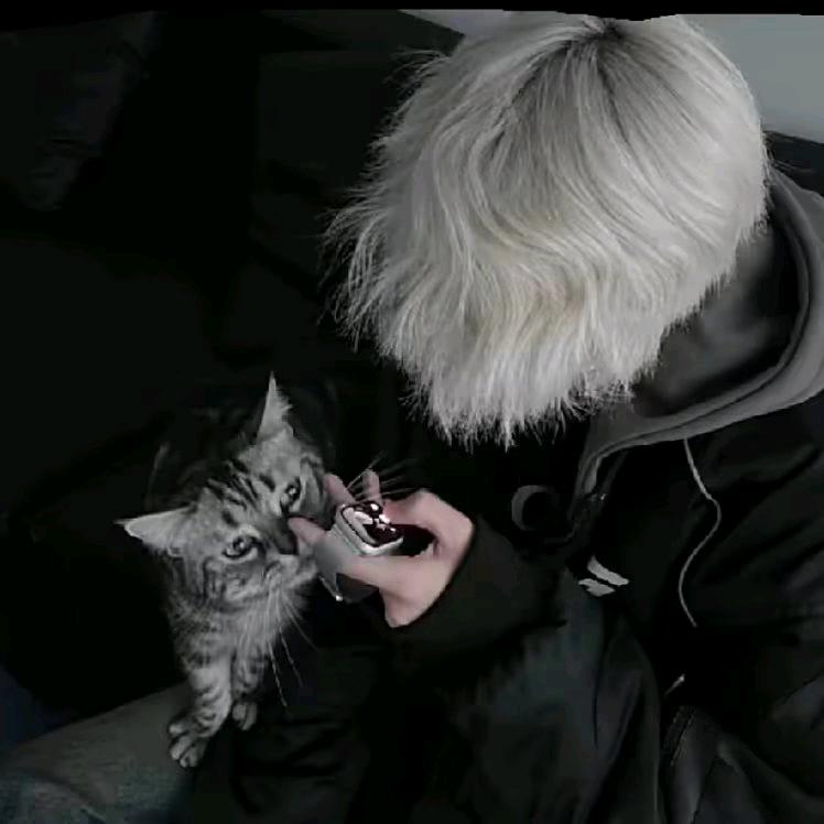 我真的会煎鸡蛋.