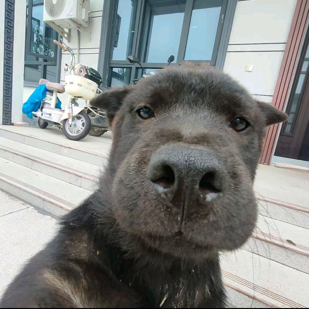 路路通