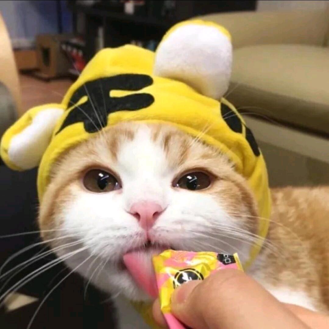 起航