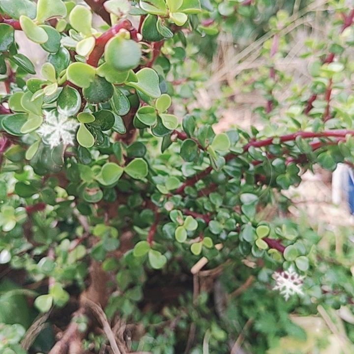 茫茫人海我是谁…