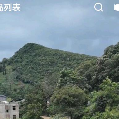 晴霜🌹🌹等它的出现😊😊