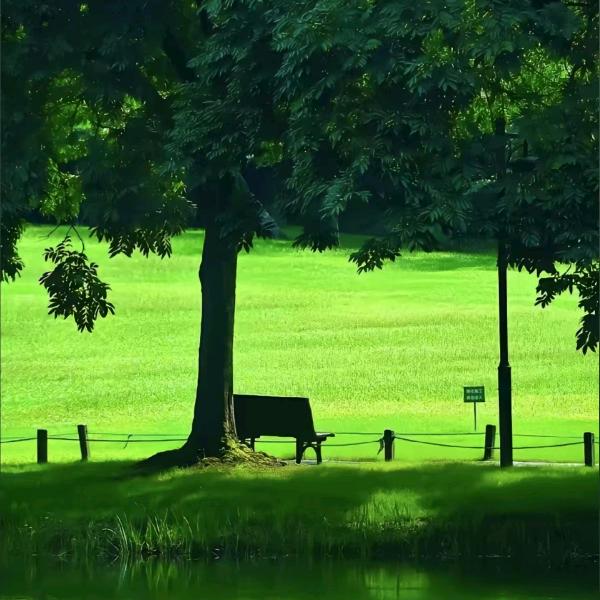 西口村莜面-十一