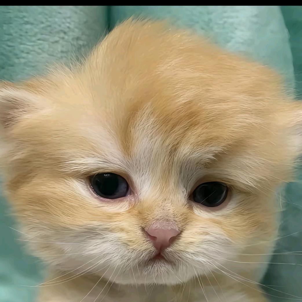 💞
