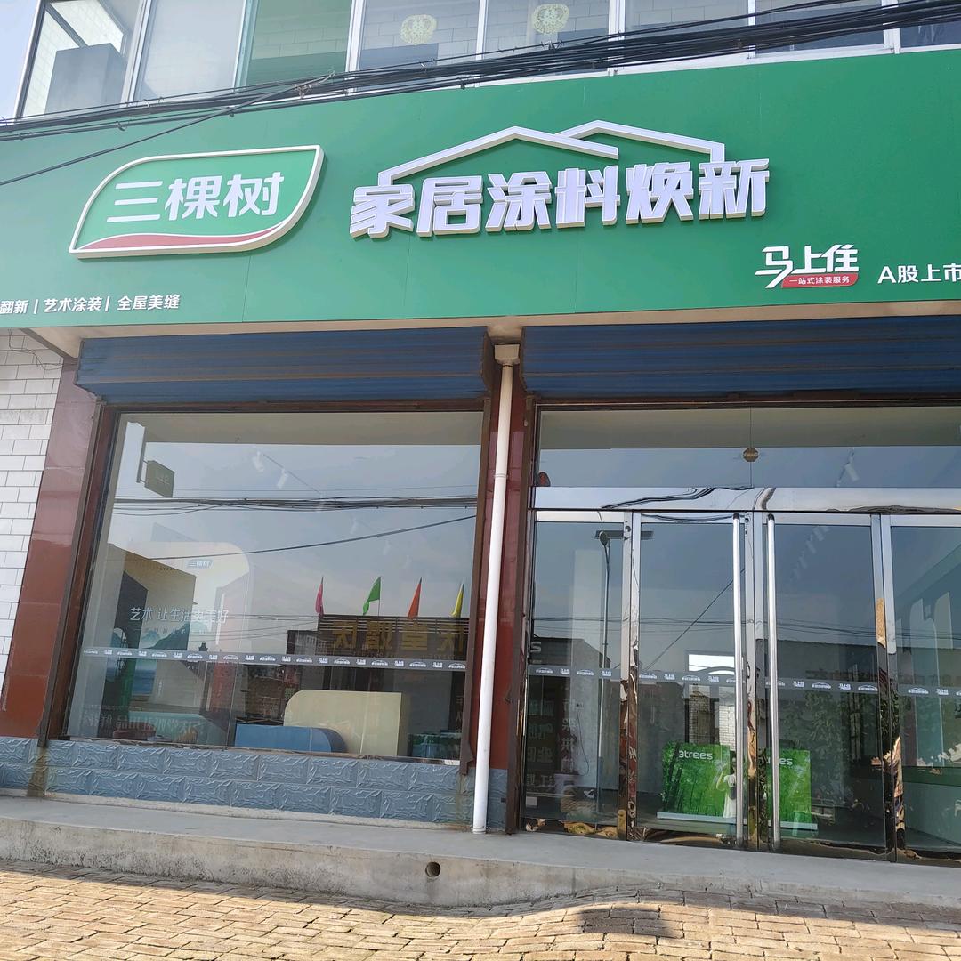 三棵树马上住宁固镇体验店