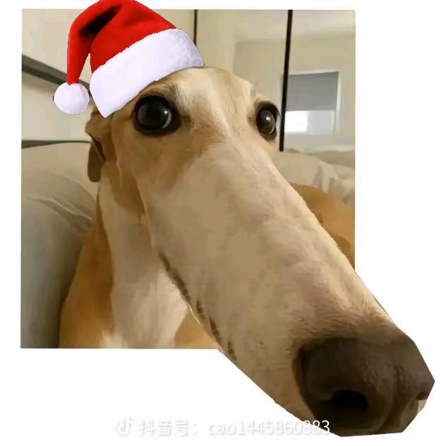 拿起轻松熊就是兵