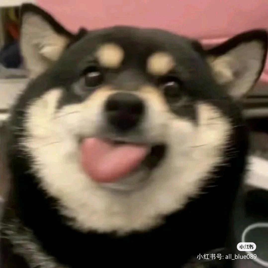 每天按时睡觉💤