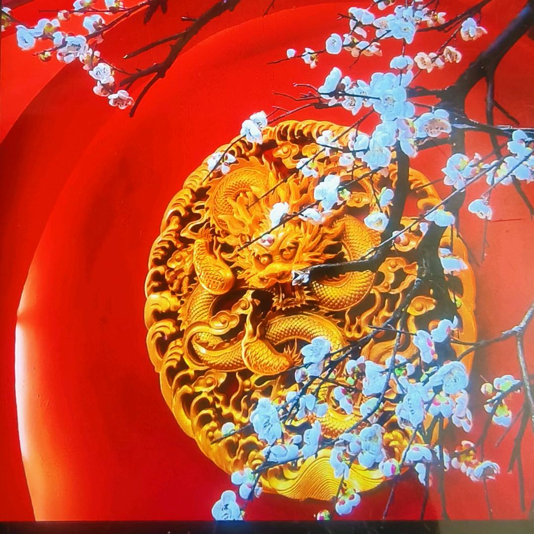 绿之源家政公司