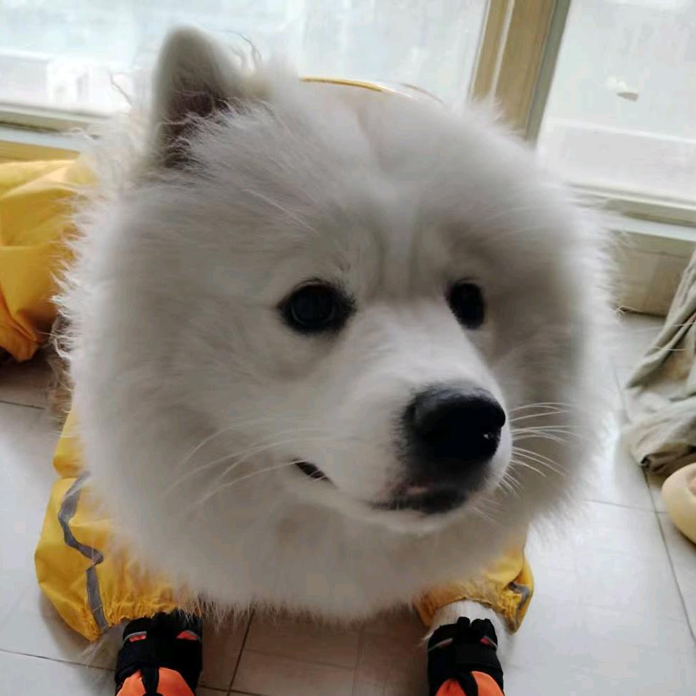 头发还剩五根