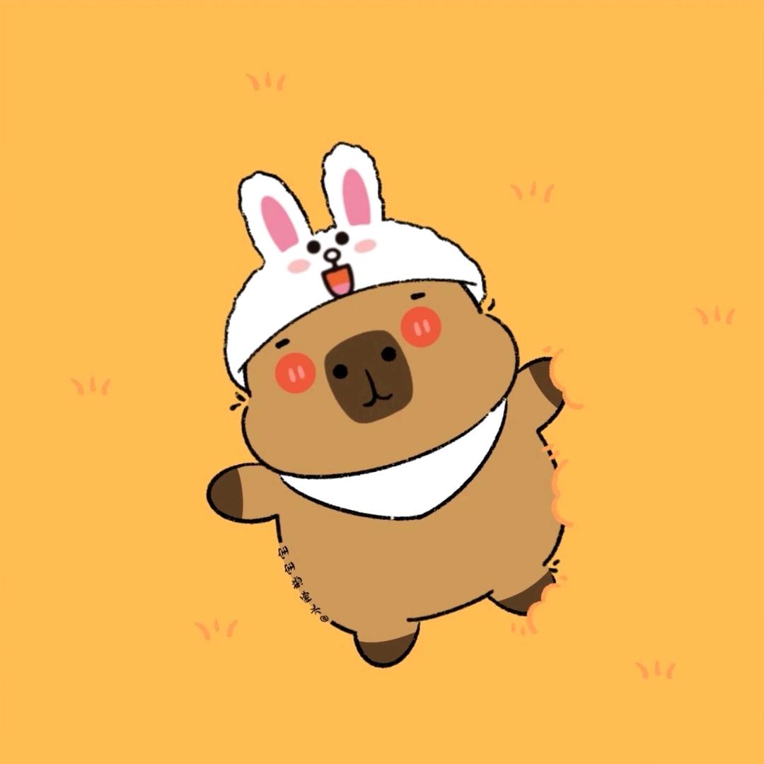 ˎˊ˗ 🧸